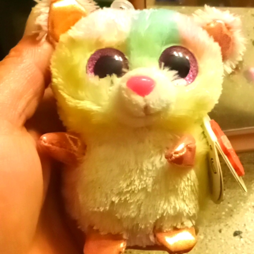Mini motsu